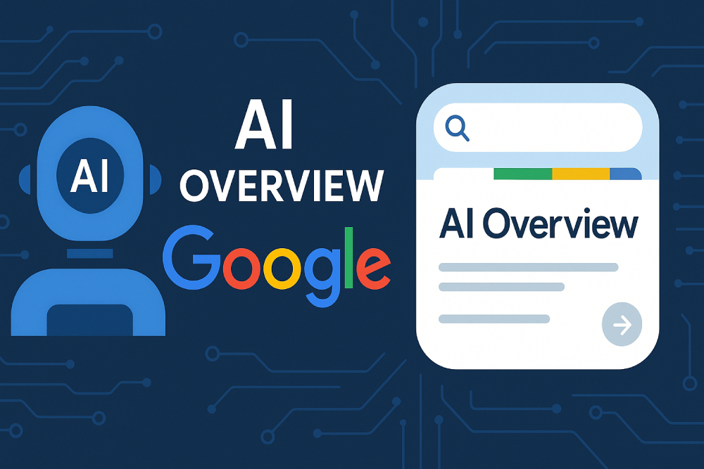 ai overview google - promovare site organic